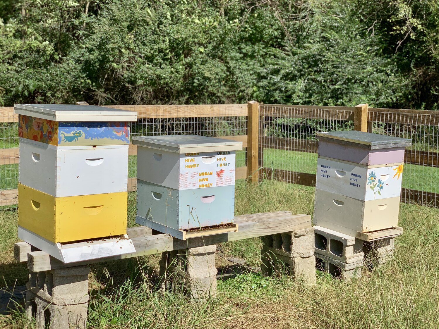 Urban Hive Honey